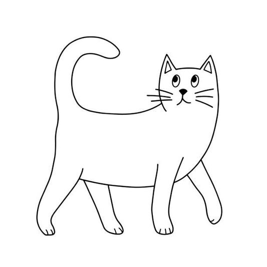 Perchè il tuo gatto perde molto pelo?