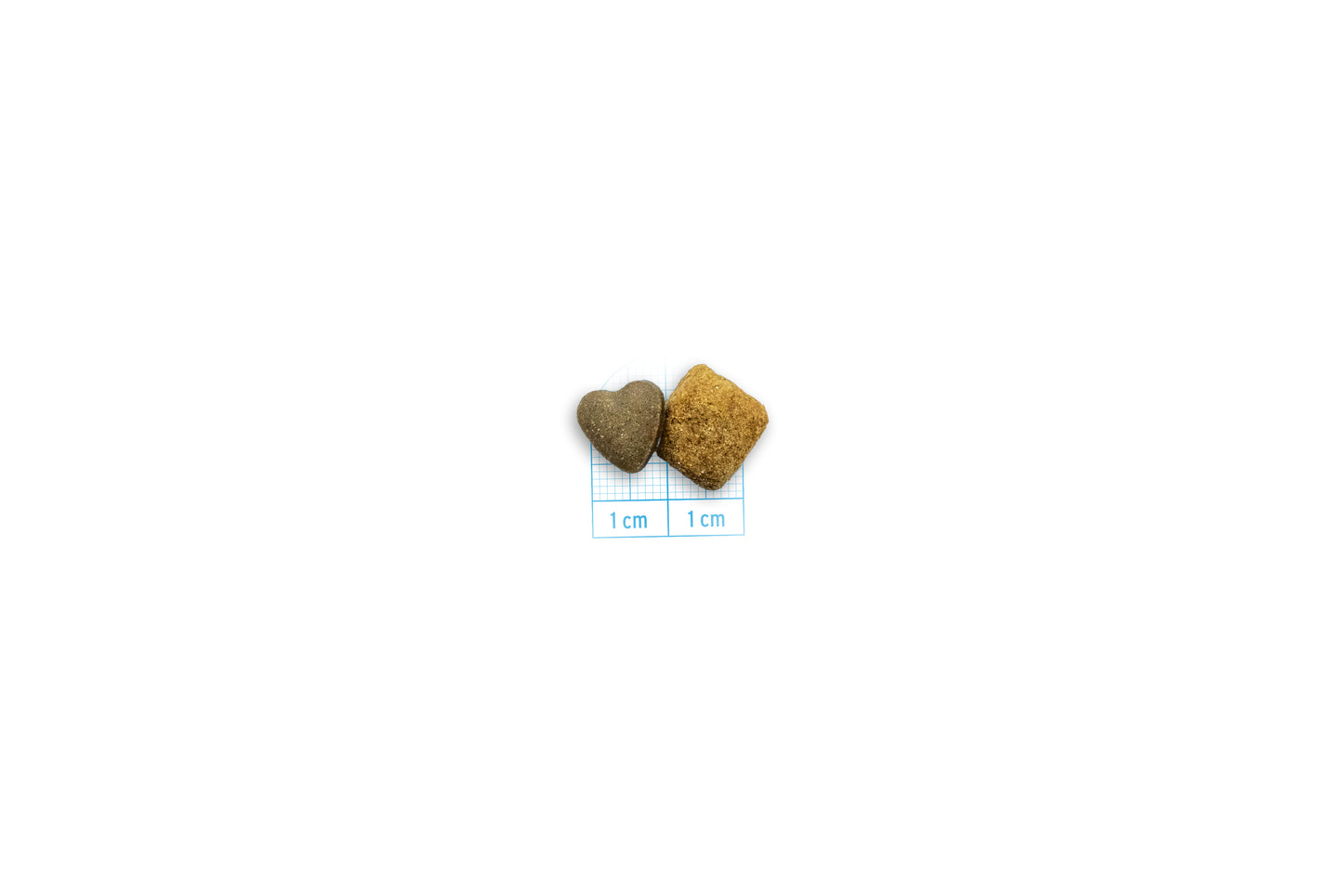 Dermo Forza 10 - 10kg