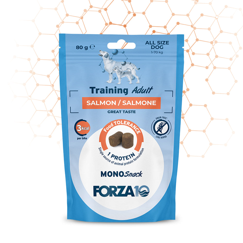 Training - Salmone /Alimento complementare per cani adulti 80GR