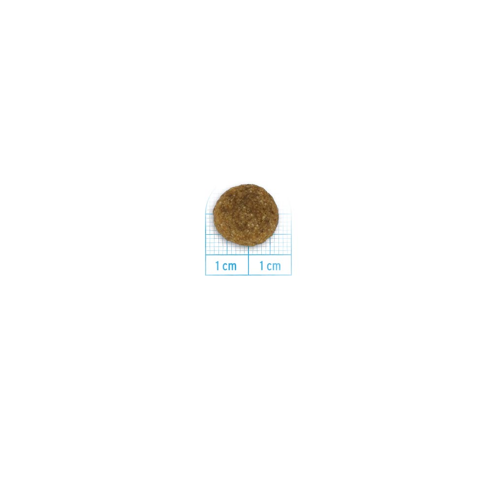 All Size Adult - Maiale Alimento completo per cani adulti 2 kg