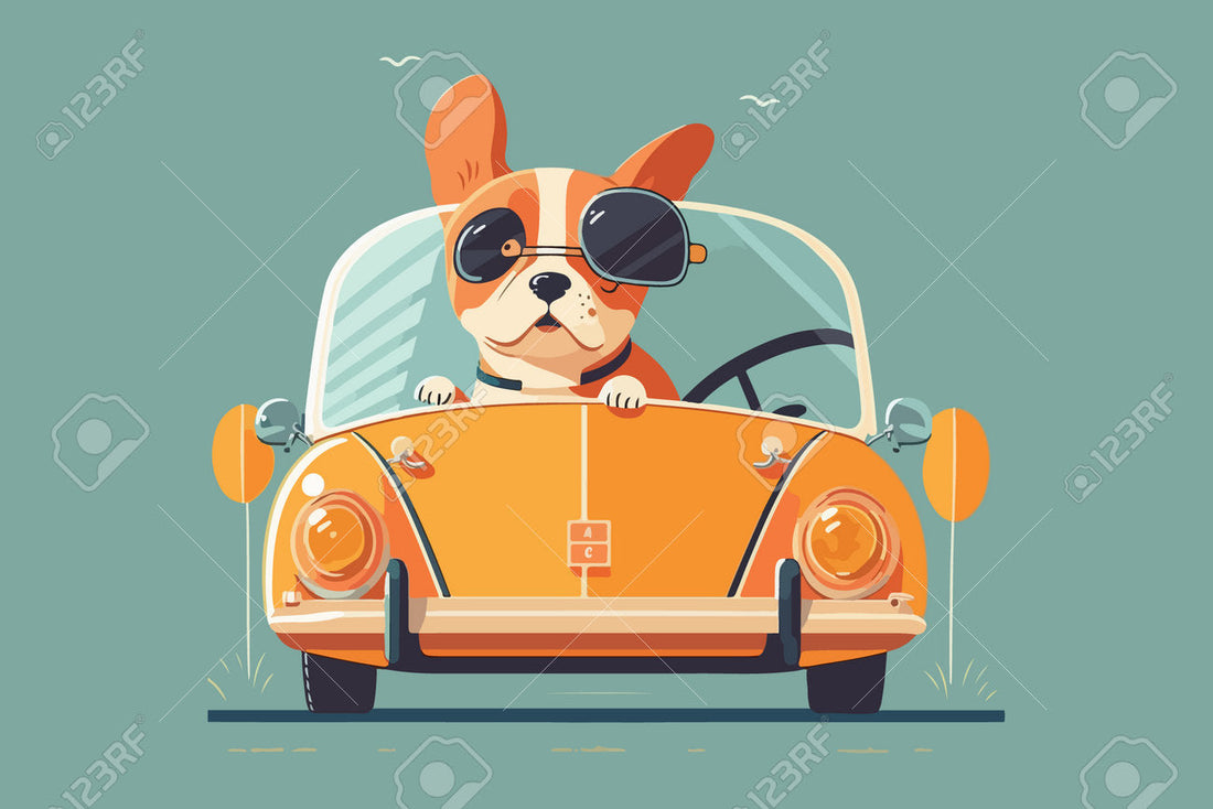 COME TRASPORTARE IL TUO CANE IN AUTO