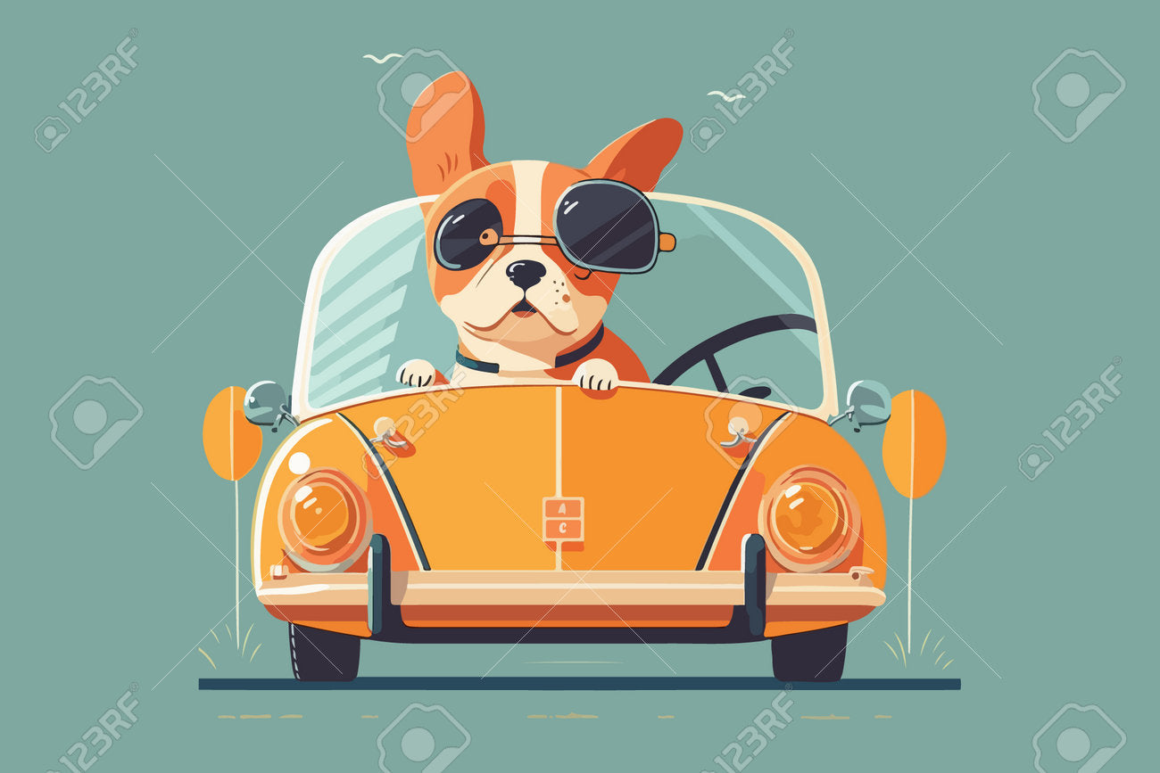 COME TRASPORTARE IL TUO CANE IN AUTO