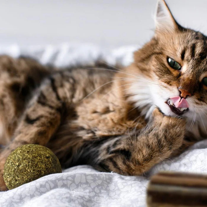 Euphoria: palla di erba gatta e silvervine da 2Pz