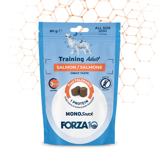 Training - Salmone /Alimento complementare per cani adulti 80GR