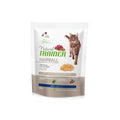 TRAINER GATTO HAIRBALL 300GR