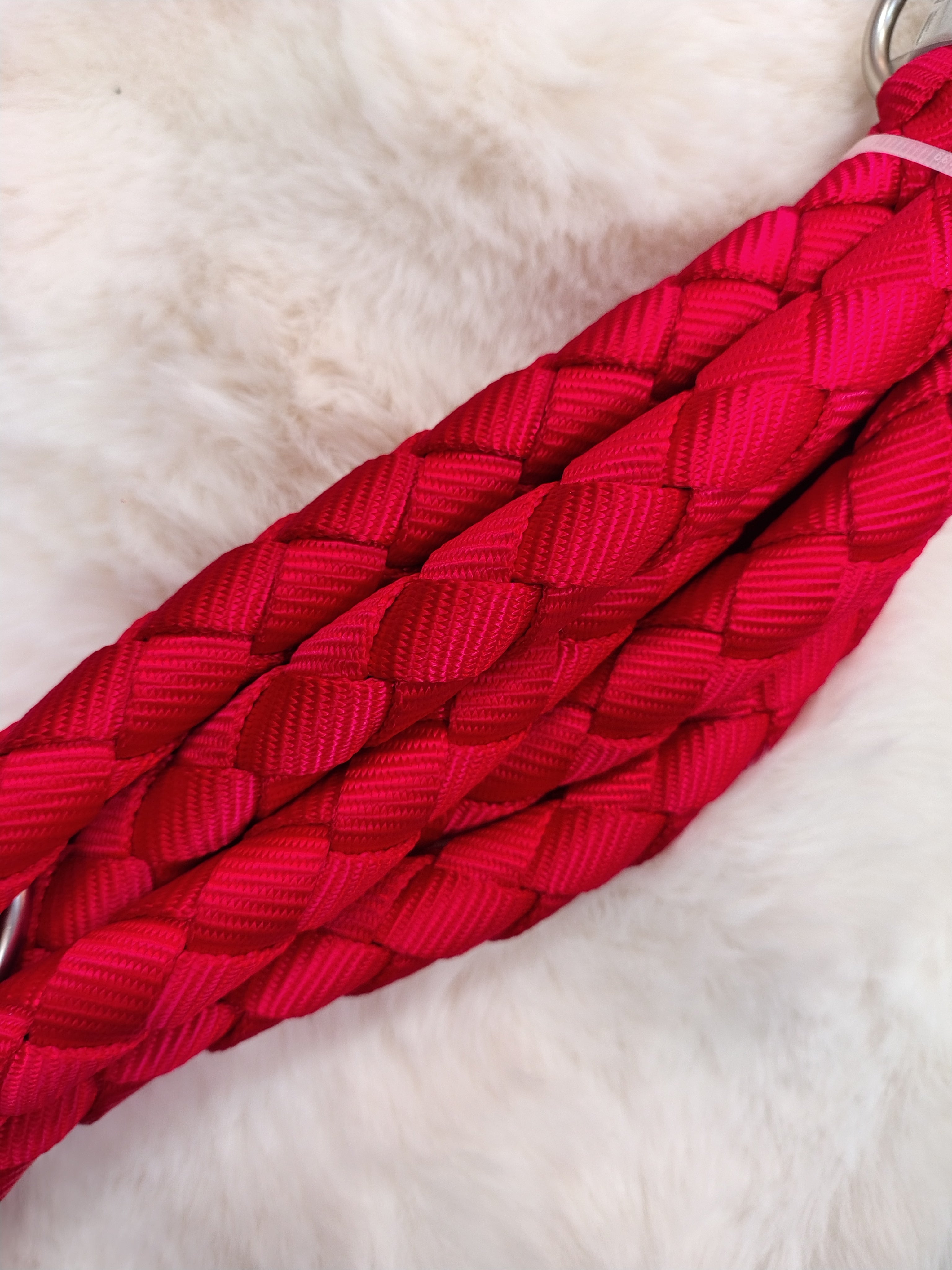 Guinzaglio di addestramento vari colori Ferribiella